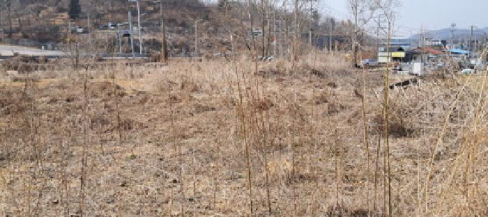 목록4 토지 전경(2)