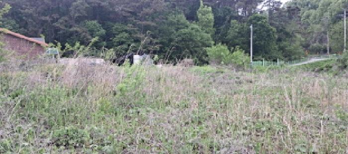 목록2 토지 전경(3)