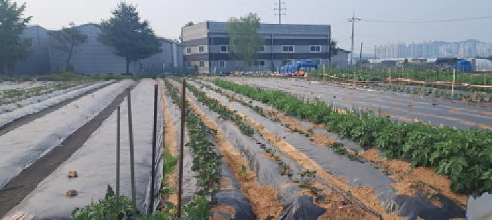 목록9 토지 전경(1)