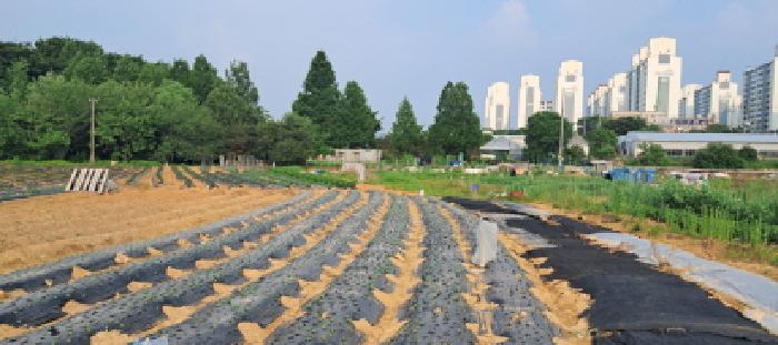 목록20 토지 전경(2)