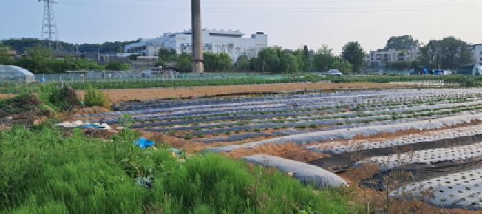 목록28 토지 전경(1)