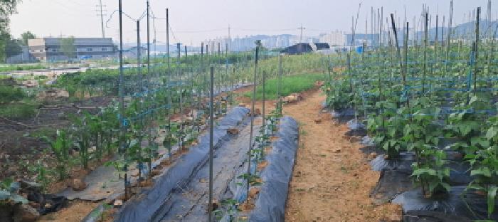 목록14 토지 전경(1)