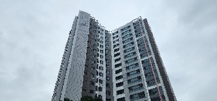 1동건물