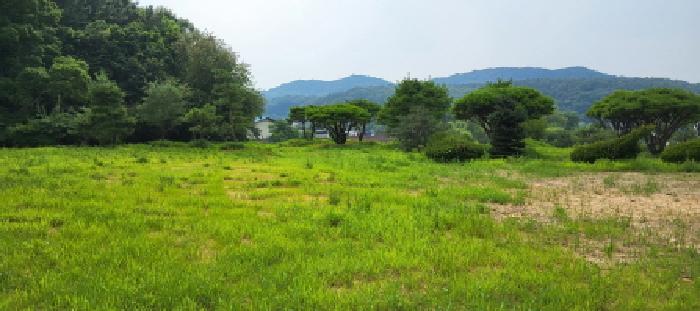 토지 전경(2)