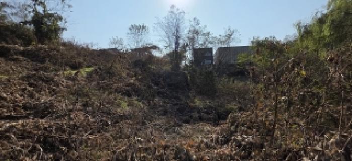 본건 전경(12)