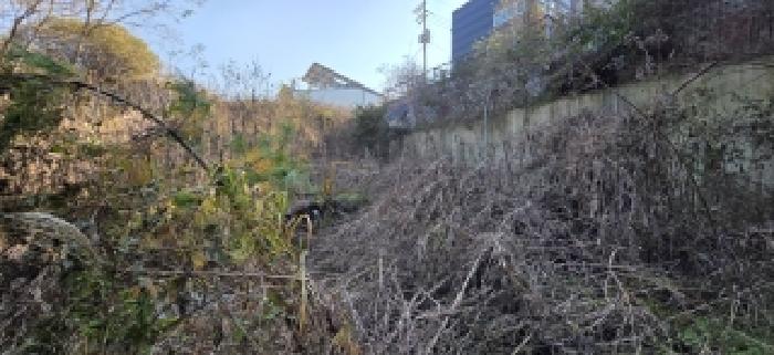 본건 전경(4)