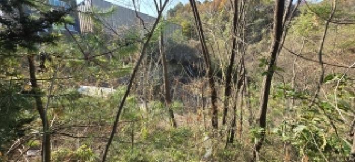 본건 전경(8)