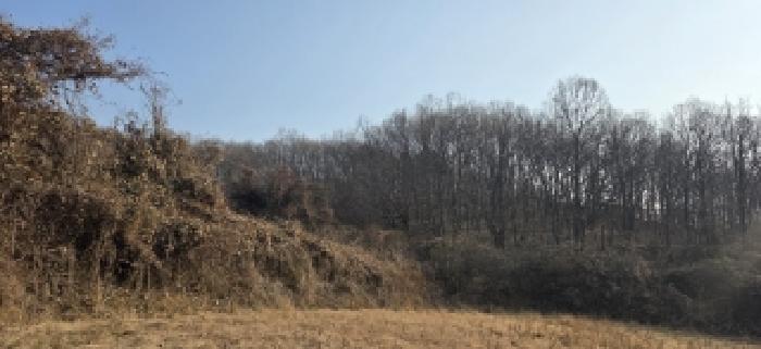 본건 전경(4)