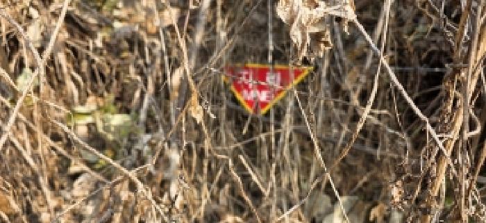 본건 경계로 보이는 철조망에 부착된 지뢰 표지판(1)