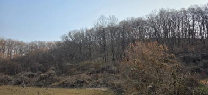 본건 전경(8)
