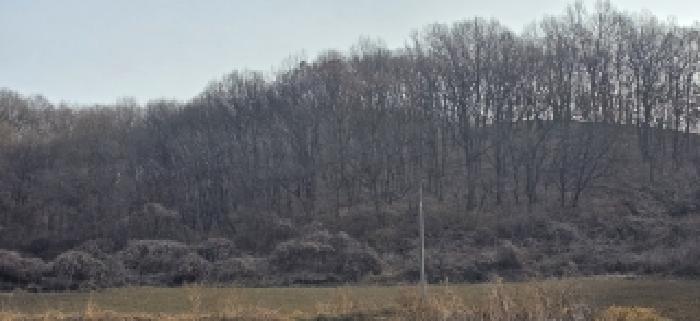 본건 전경(9)