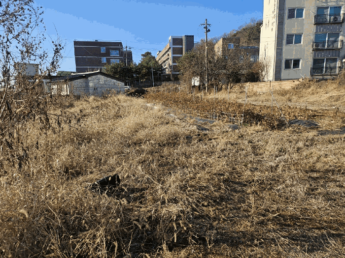 본건 전경
(본건 남동측에서 촬영)