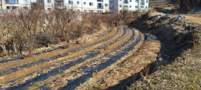 임야 전경(1)