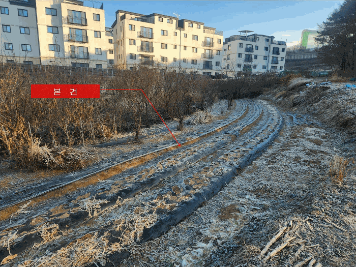 본 건 전 경