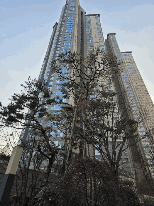 본건 동 전경