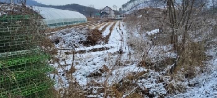 토지 전경(2)