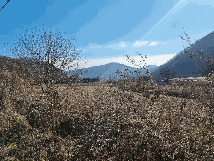 본건 북서측 전경