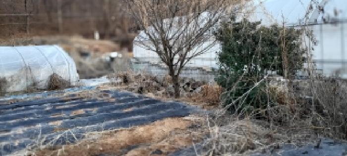 목록2 토지 전경