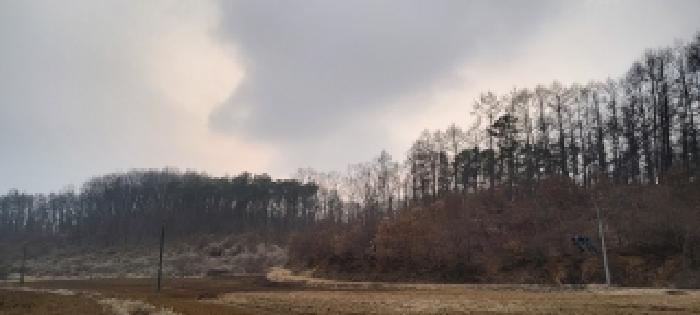 목록11 임야 전경(1)