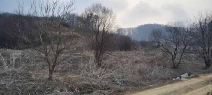 목록2 토지 전경(2)