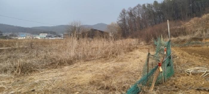 목록10 토지 전경(1)