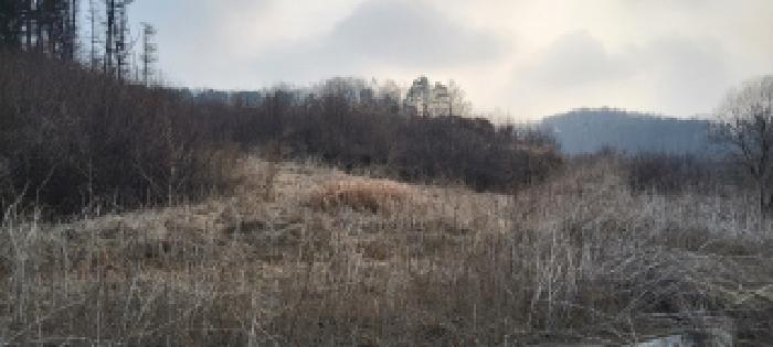 목록2 토지 전경(1)