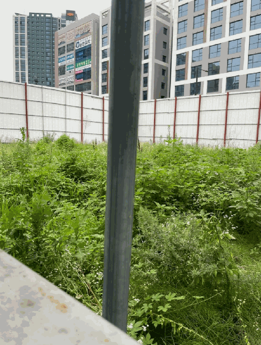 본건전경