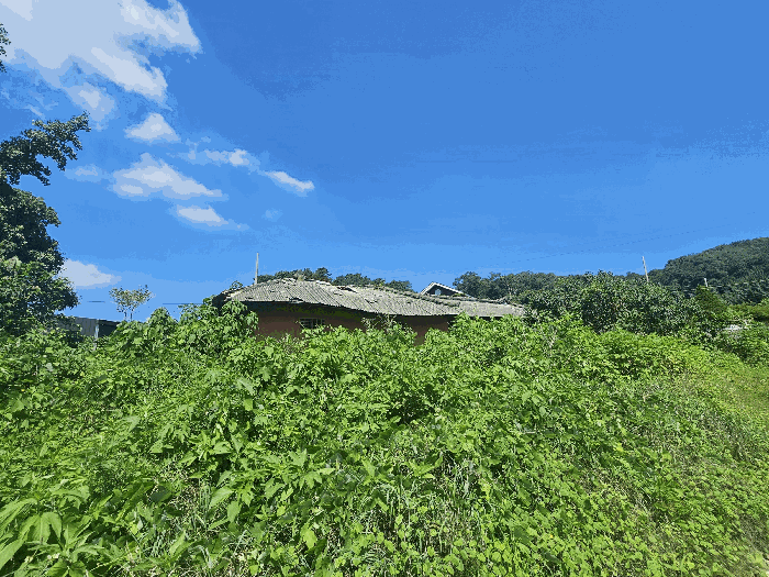 제시 외 건물 전경