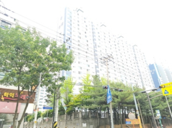 전체 전경