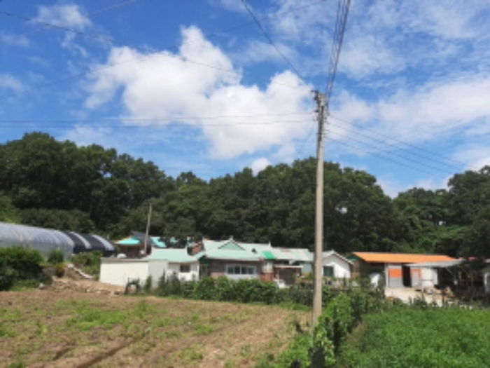 2022타경520686