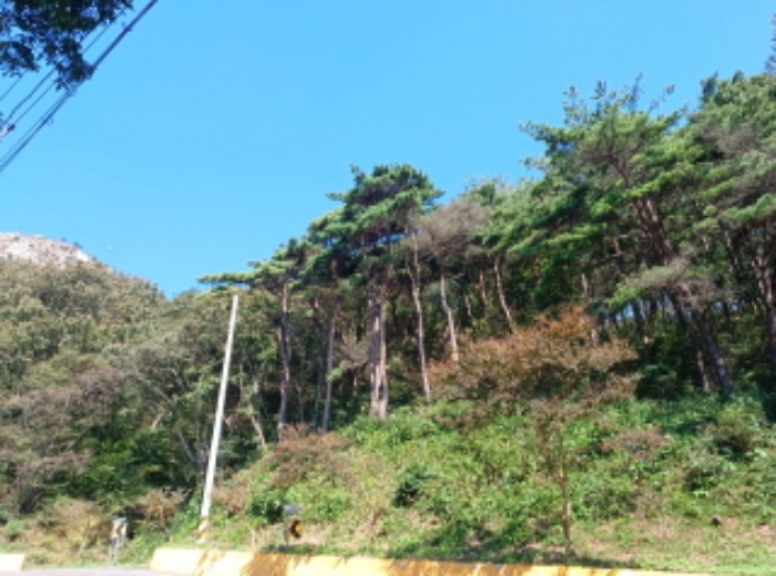 2022타경526264