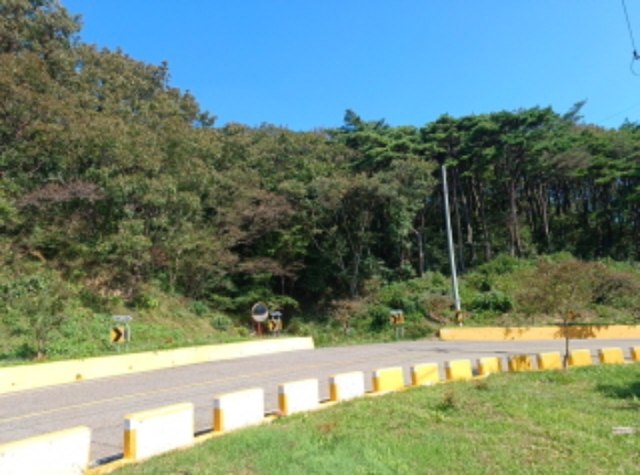 2022타경526264