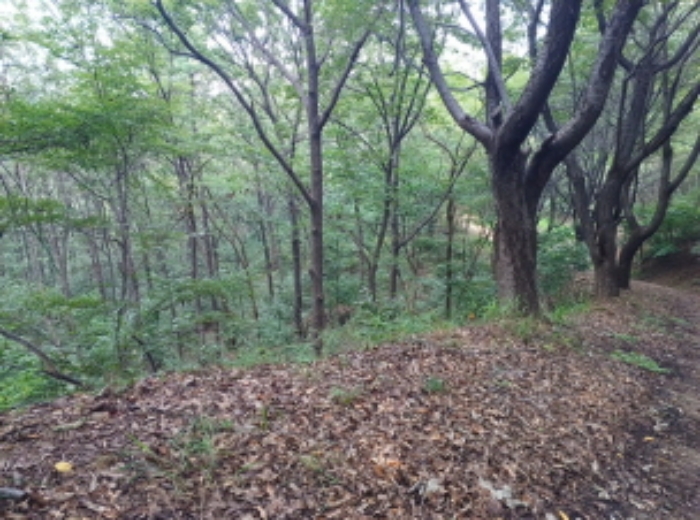 목록 1.의 전경