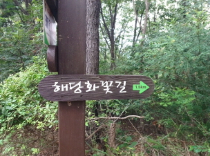 해당퐈 꽃길 표지판에서 멀지 않은 곳에 위치해 있음