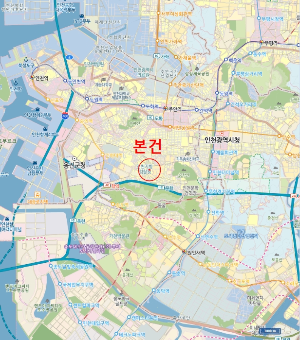 광 역 위 치 도