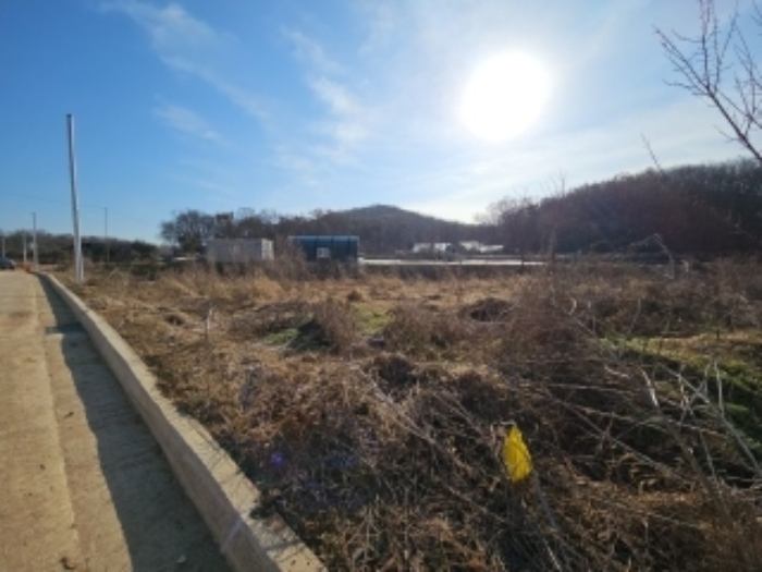 전경5