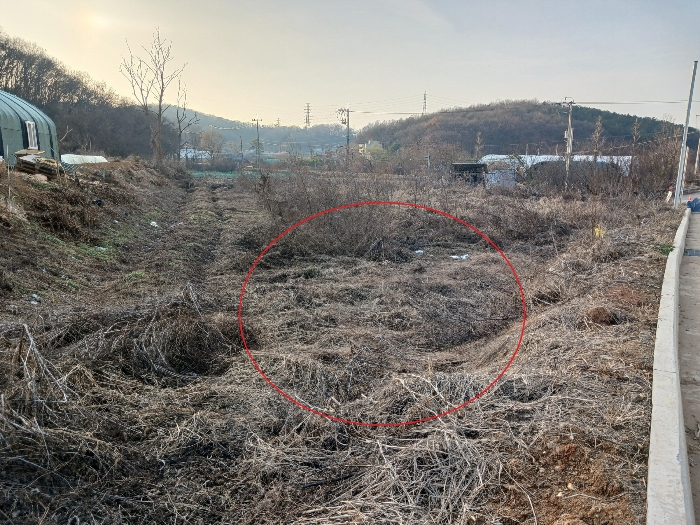 동측에서 촬영한 본건 기호(1),(2)