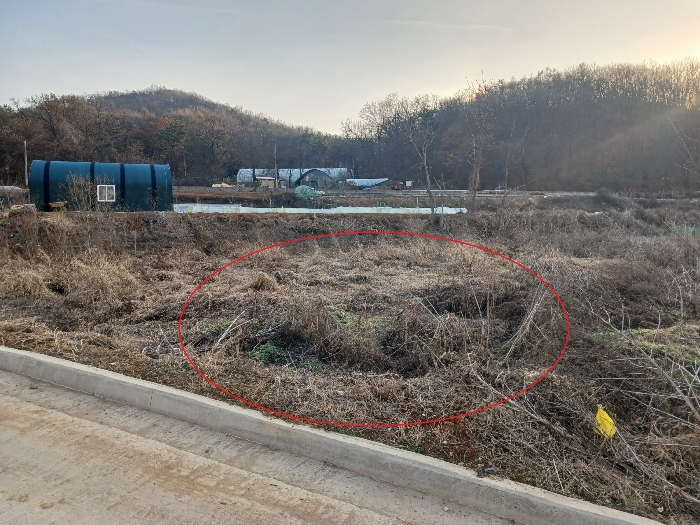 북측에서 촬영한 본건 기호(1),(2)
