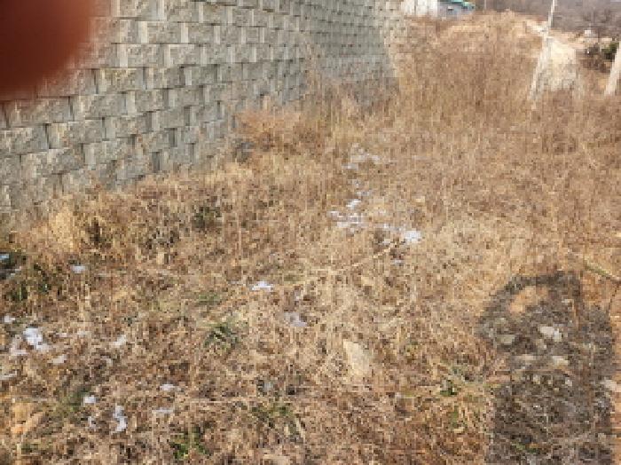 목록1. 전경