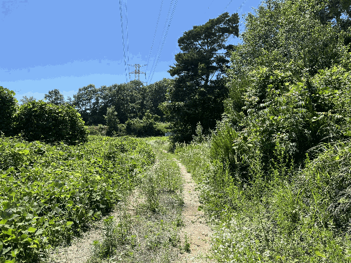 지역권 설정부분(현황도로)