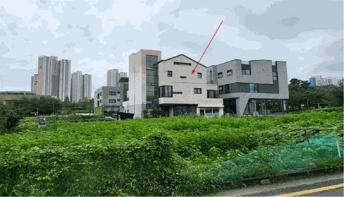 본 건 전 경