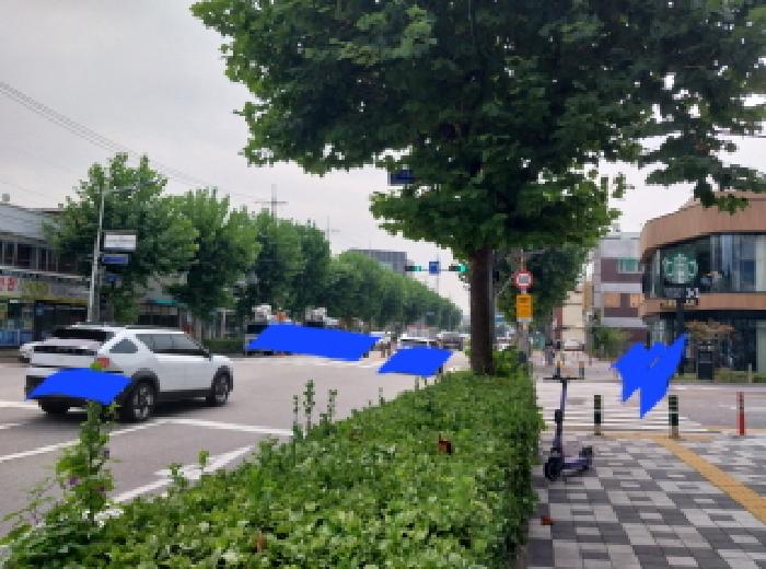 건물 앞 도로