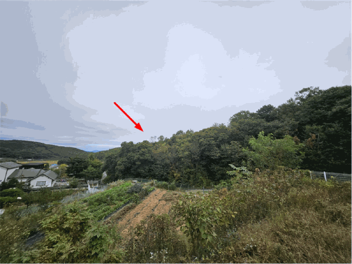 본건전경