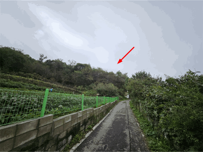 본건전경