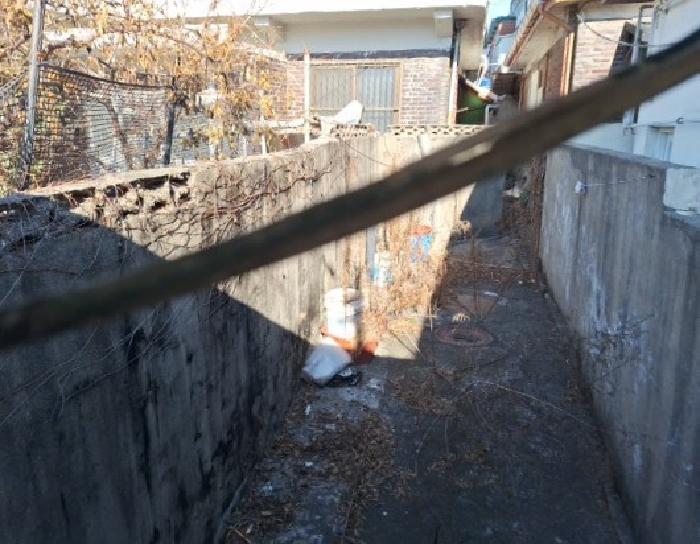 41, 42번 전경
