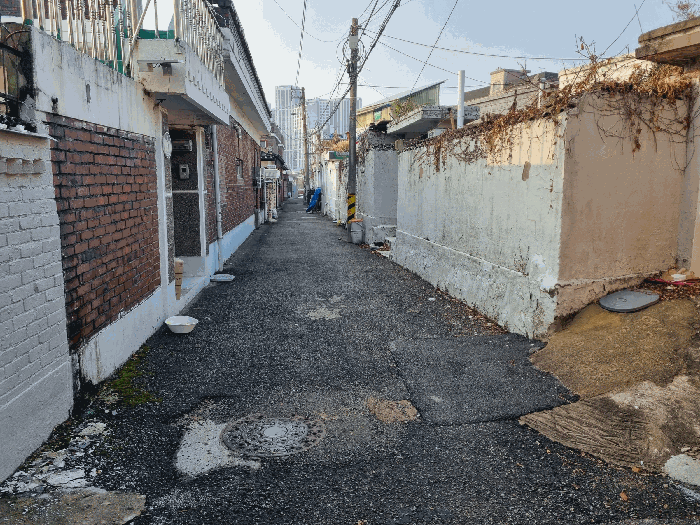 기호(18) 현황 '도로' 및 기호(41) 접면도로