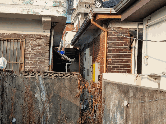 기호(42) 전경