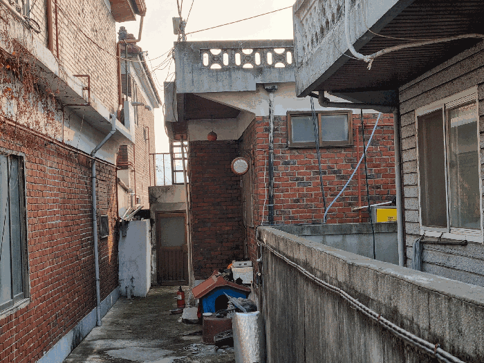 기호(21) 전경