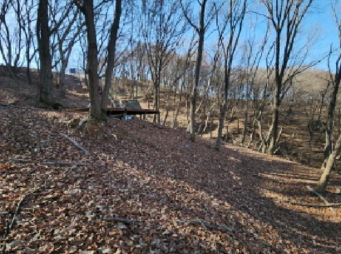 목록1 임야 전경