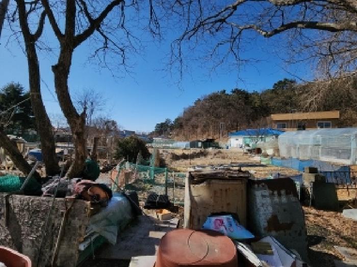 본건 부동산 전경2